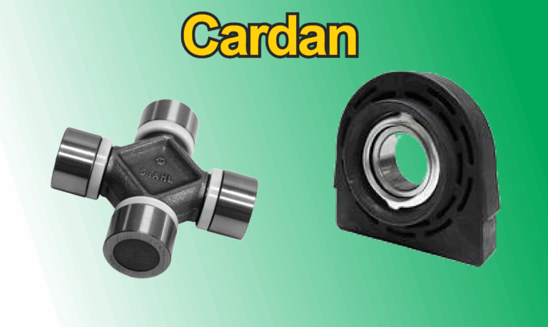 Cardan